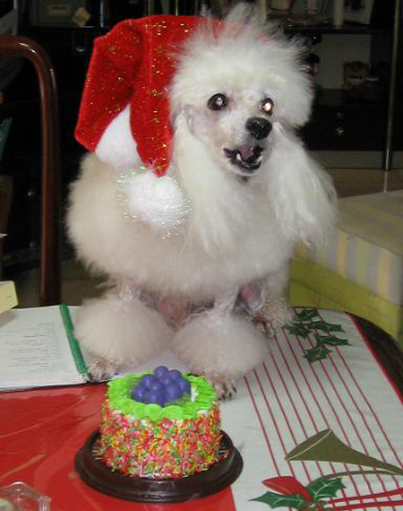 christmas6.jpg