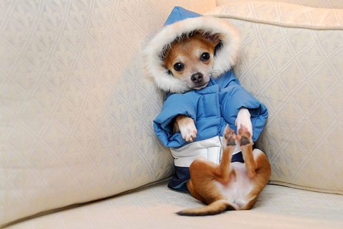 cold.jpg