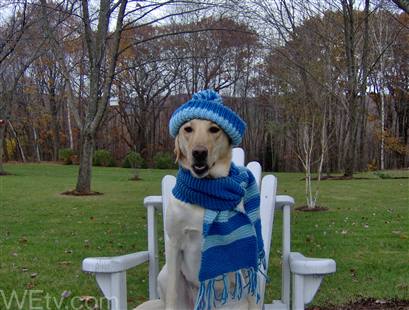 coldoutside.jpg