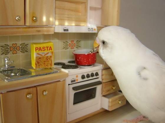 cooking.jpg