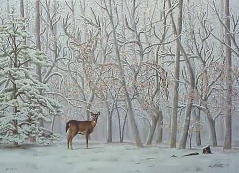 coolpicdeer.gif