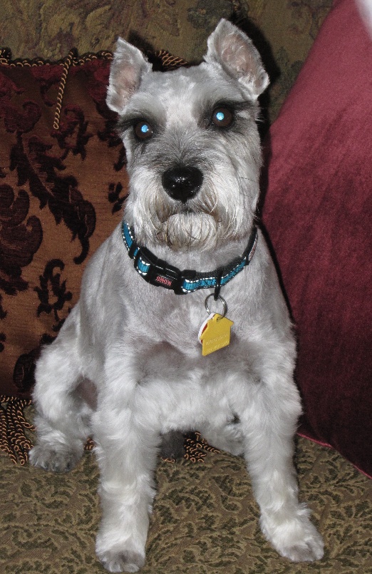 cooper2ndcut03.jpg