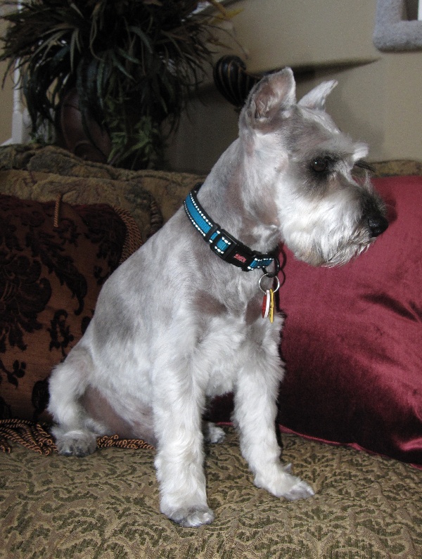 cooper2ndcut08.jpg