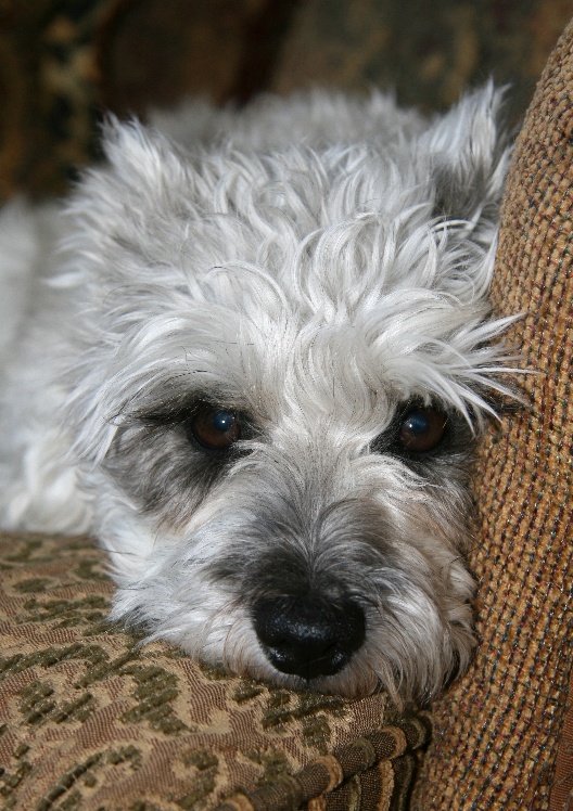 cooperjan132011b.jpg
