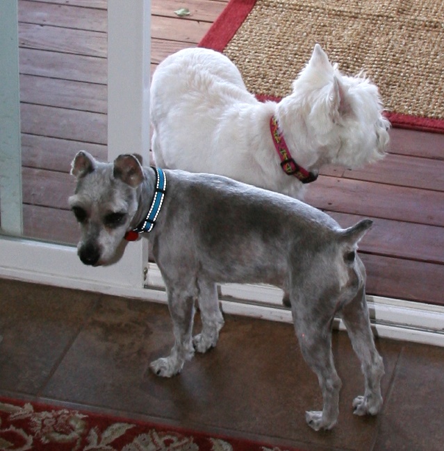 cooptiffsept162010.jpg