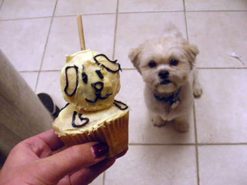 cupcake1a.jpg