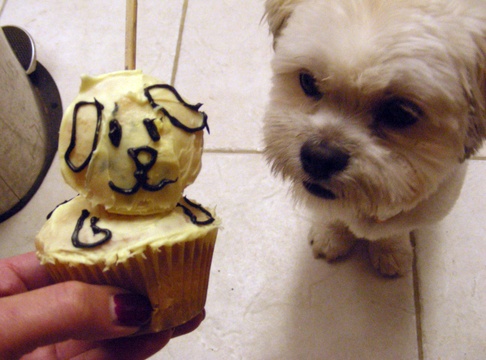 cupcake2.gif