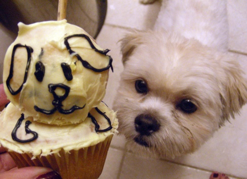 cupcake3.gif