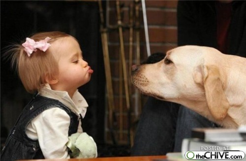 cute-animal-pictures-s4-4.jpg