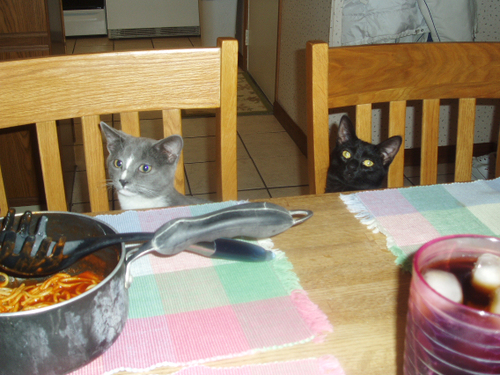 dinner.jpg