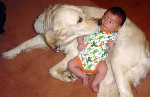 dogandbabywitheyes333.jpg