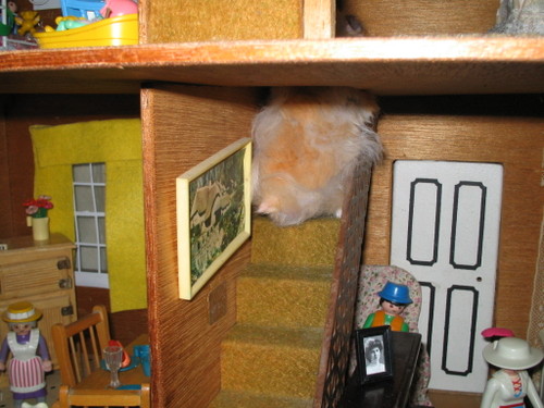 dollhouse_adventures_037.jpg