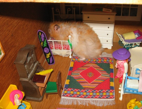 dollhouse_adventures_041a.jpg