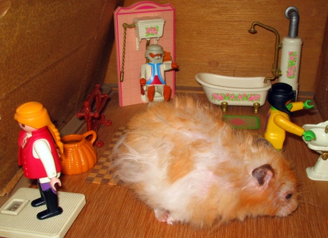 dollhouse_adventures_042a.jpg