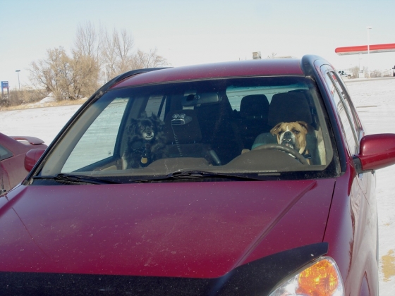 drive.jpg