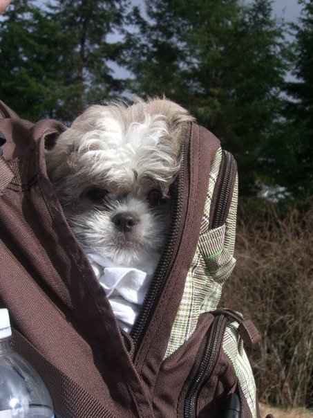 dudebackpack.jpg