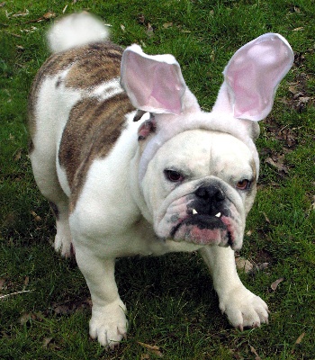 easter4.jpg