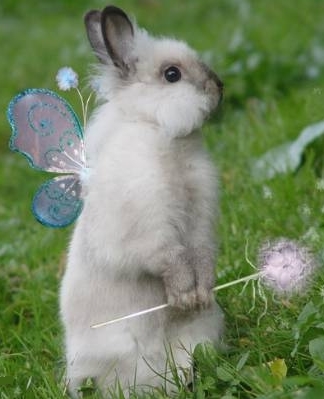 easter5.jpg