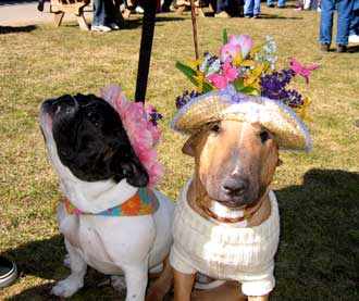 easter6.jpg