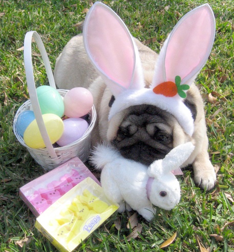 eastersweety2.jpg