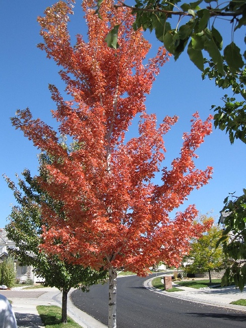 fall02.jpg