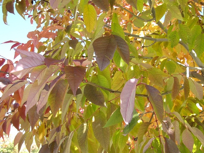 fall04.jpg