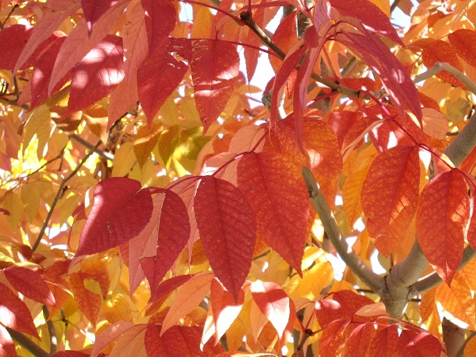 fall05.jpg