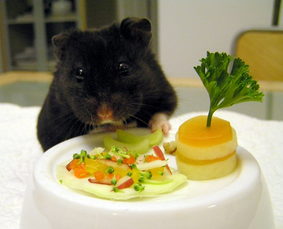 feast.jpg