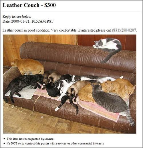 forsale.jpg