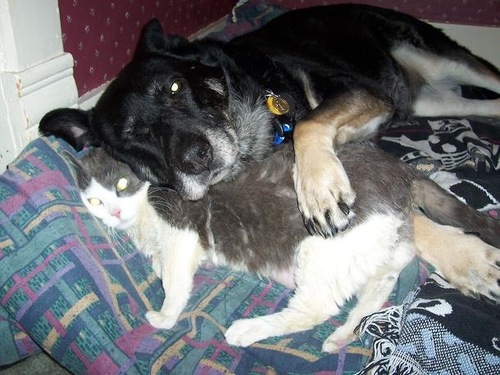 friendship.gif
