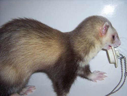georgetub2.jpg