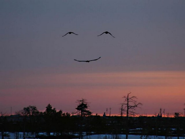 godsmile.jpg
