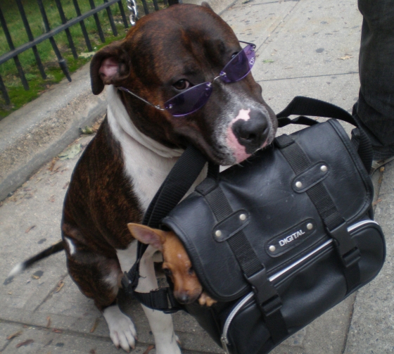 goingtowork.jpg