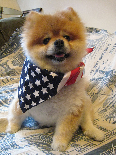 happy_fourth.jpg
