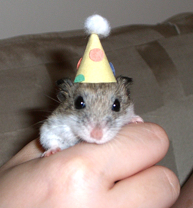 happybirf.jpg