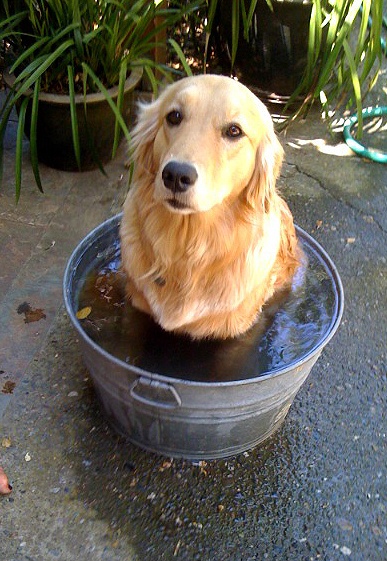 hotout2.jpg