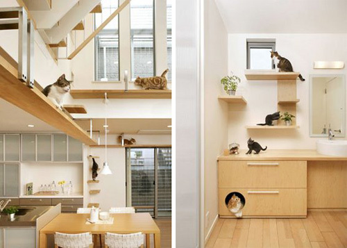 houseofcats.gif