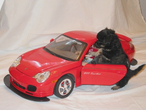 ilovefastcars.gif