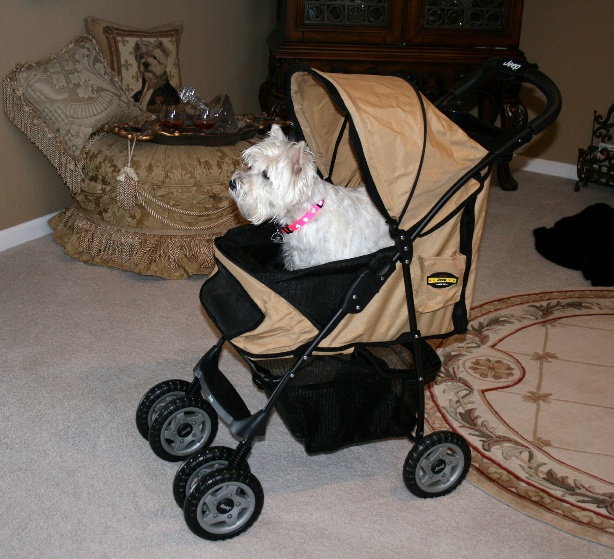 jeepstroller1.jpg