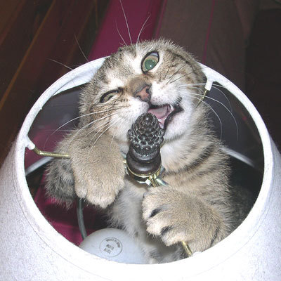 lampshade.jpg