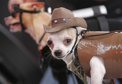 lilcowboy.jpg