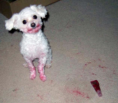lipstick.jpg