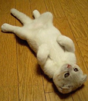 loafin_round.jpg