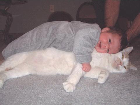 lovemykitty.jpg