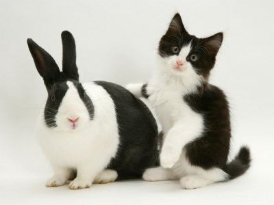 loveus.gif