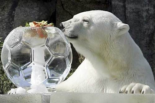 lunch_is_suhved.jpg