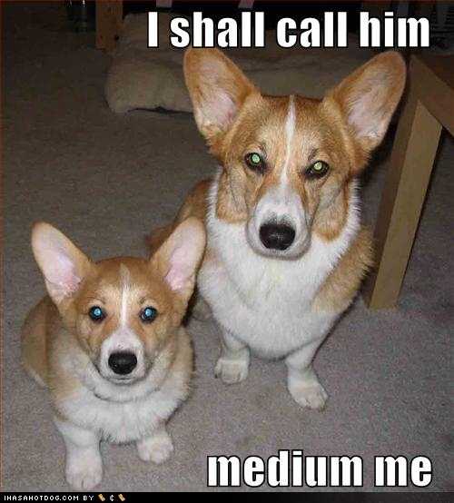 mediumme.gif