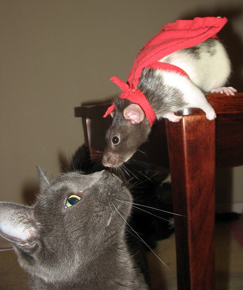 mightymouse.jpg