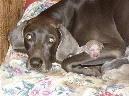 mombaby.jpg