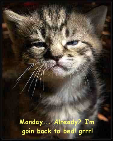 monday.jpg